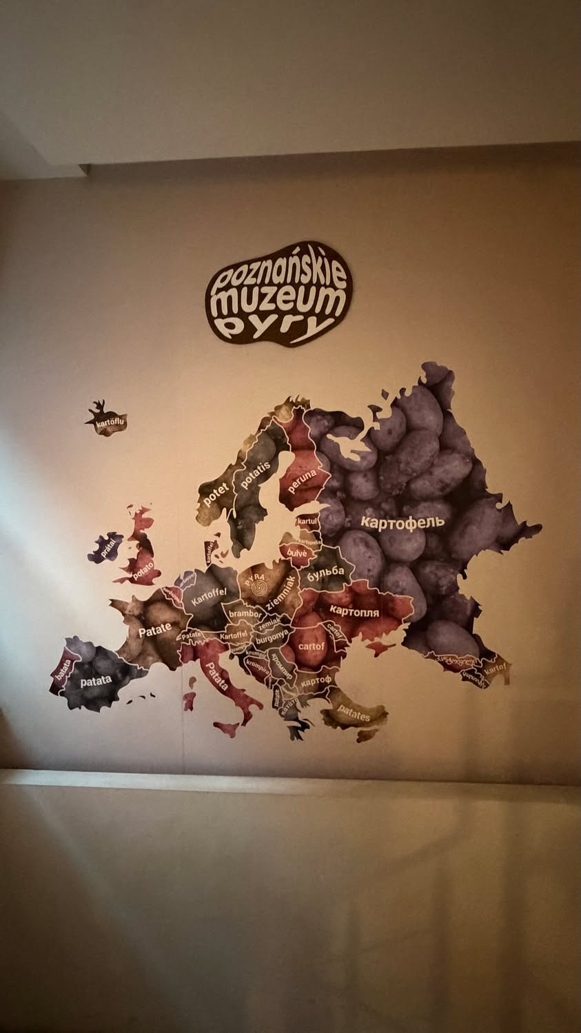 Ostatnie 3 dni spędziliśmy w Poznaniu na seminarium pt