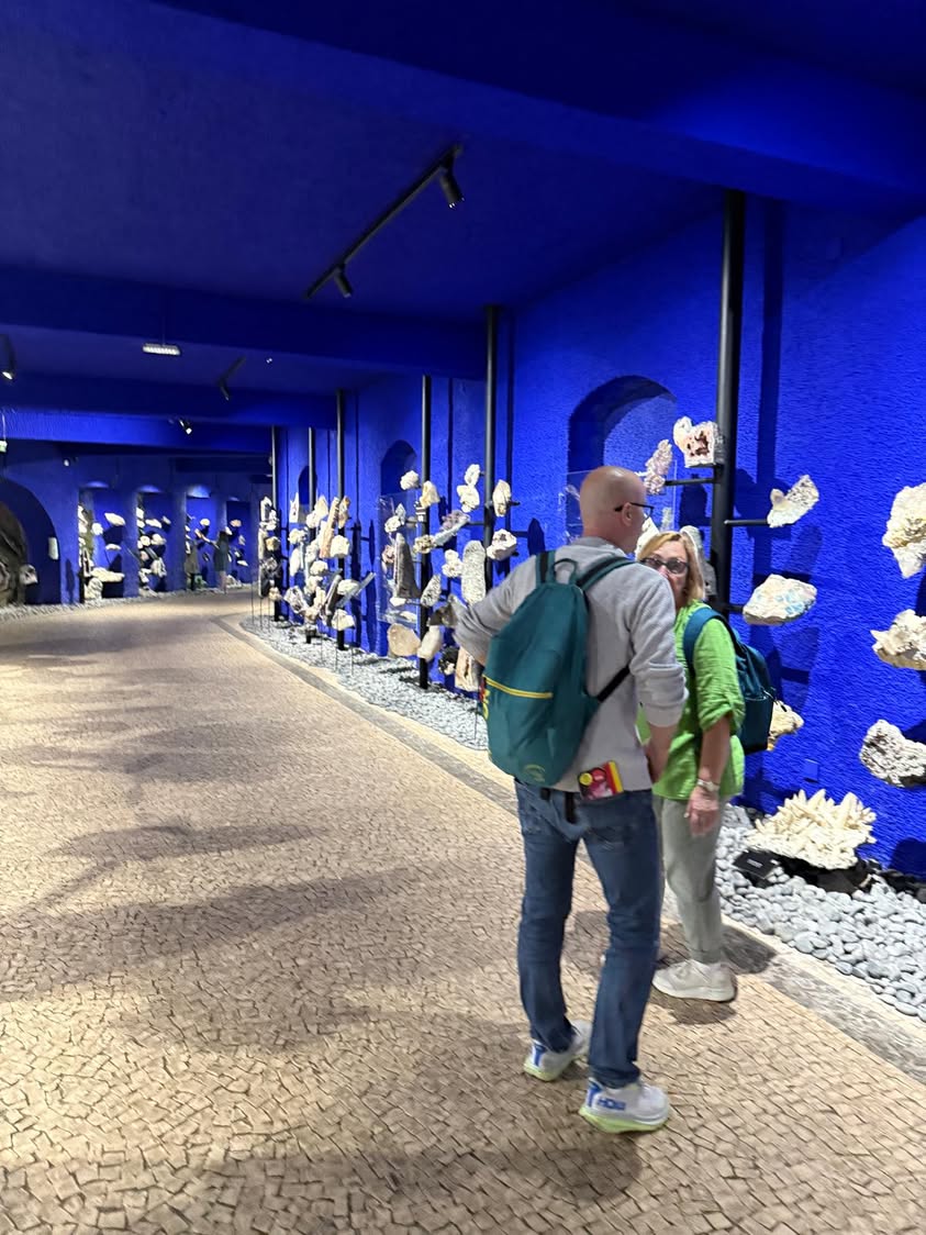 Trzeci dzień naszej mobilności grupowej w programie Erasmus+ był pełen rytmu, en...